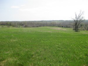 West Overlook Looking East Towards Ray House