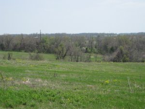 West Overlook Looking Northeast Towards Lyon Advance